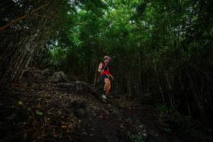 BIB: 
                            <button type="button" onclick="openModal(25096681)" class="btn btn-primary btn-sm float-right btn-popup" data-toggle="modal" data-target=".modal-high-quality">
                        <i class="fas fa-shopping-cart"></i> Add to Cart
                    </button>
                                            <button type="button" onclick="isThisMe(25096681, true)" class="btn btn-success btn-sm float-right btn-popup btn-isme hidden" data-toggle="tooltip" data-placement="bottom" title="นี่คือรูปของคุณใช่ไหม คลิกที่นี่เพื่อเอาเข้าอัลบั้ม">
                        <i class="fas fa-plus"></i> Add to album
                    </button>
                    <button type="button" onclick="isThisMe(25096681, false)" class="btn btn-warning btn-sm float-right btn-popup btn-isnotme hidden">
                        <i class="fas fa-ban"></i> Remove from album
                    </button>